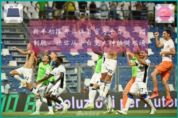 新手初探开云体育官方平台，一招制胜，让你从小白变大神的游戏通关秘籍！