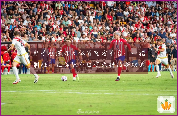 新手初探开云体育官方平台，一招制胜，让你从小白变大神的游戏通关秘籍！