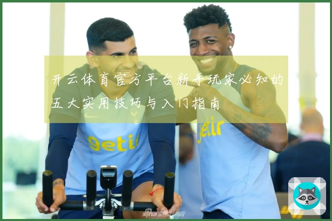 开云体育官方平台新手玩家必知的五大实用技巧与入门指南